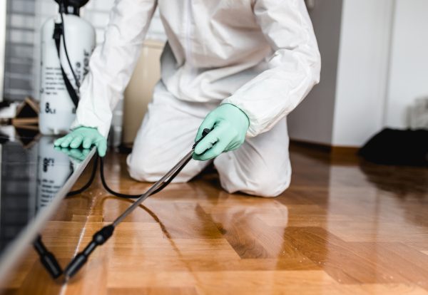 مكافحة حشرات